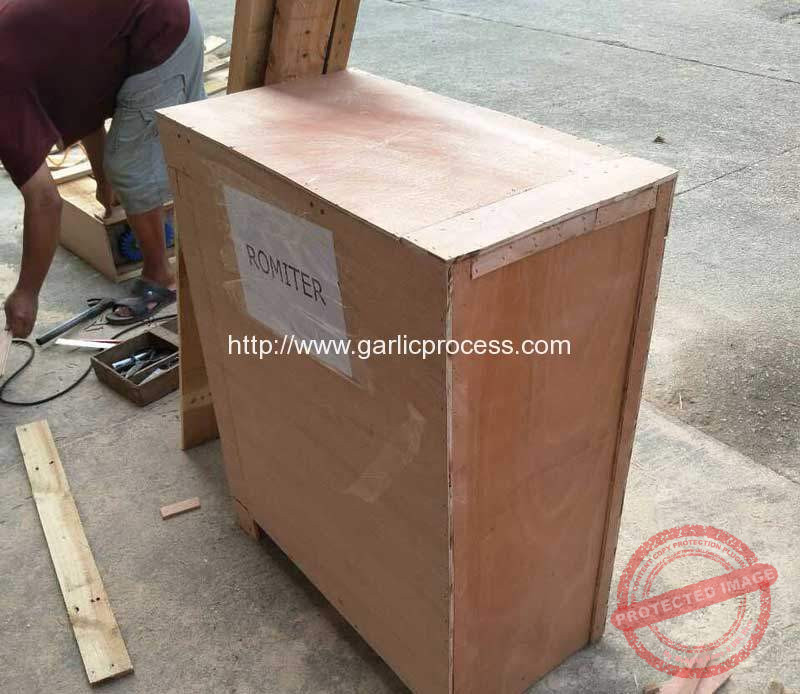 Automatic-Garlic-Paste-Cutting-Making-Machine-for-India-Customer
